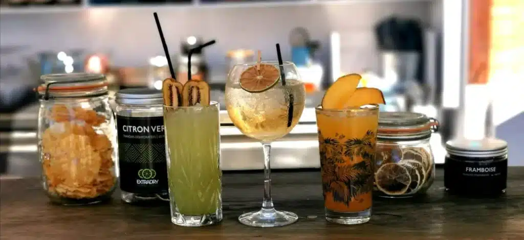 Extradry-fruits-seches-pour-cocktails-1280x587.jpg