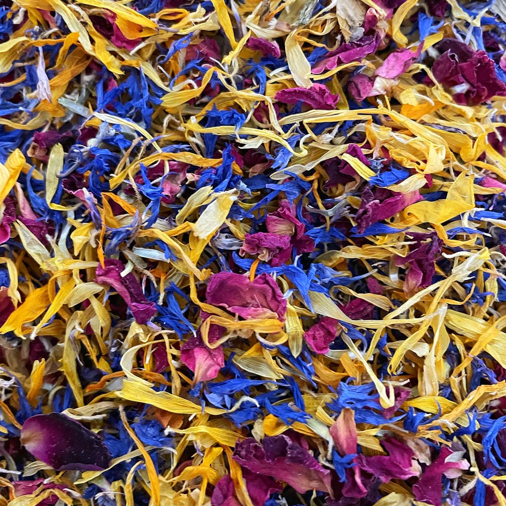 Fleurs séchées