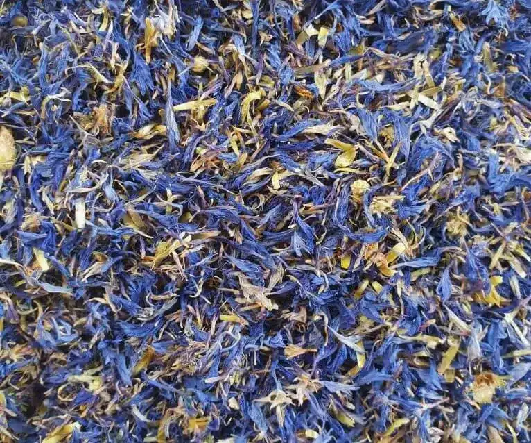 Pétales de bleuet séchés
