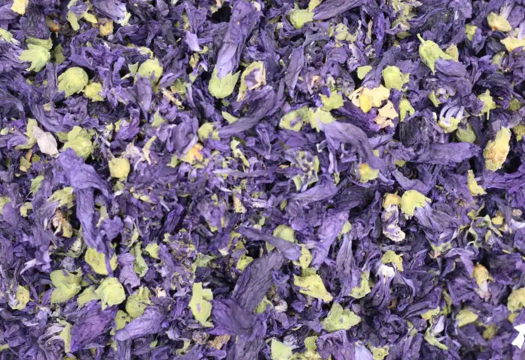 Mauve fleurs