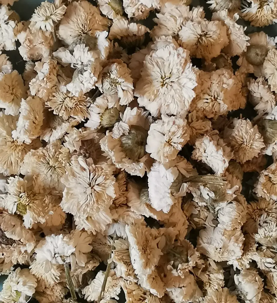 camomille romaine vrac
