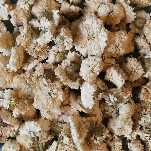 camomille romaine vrac