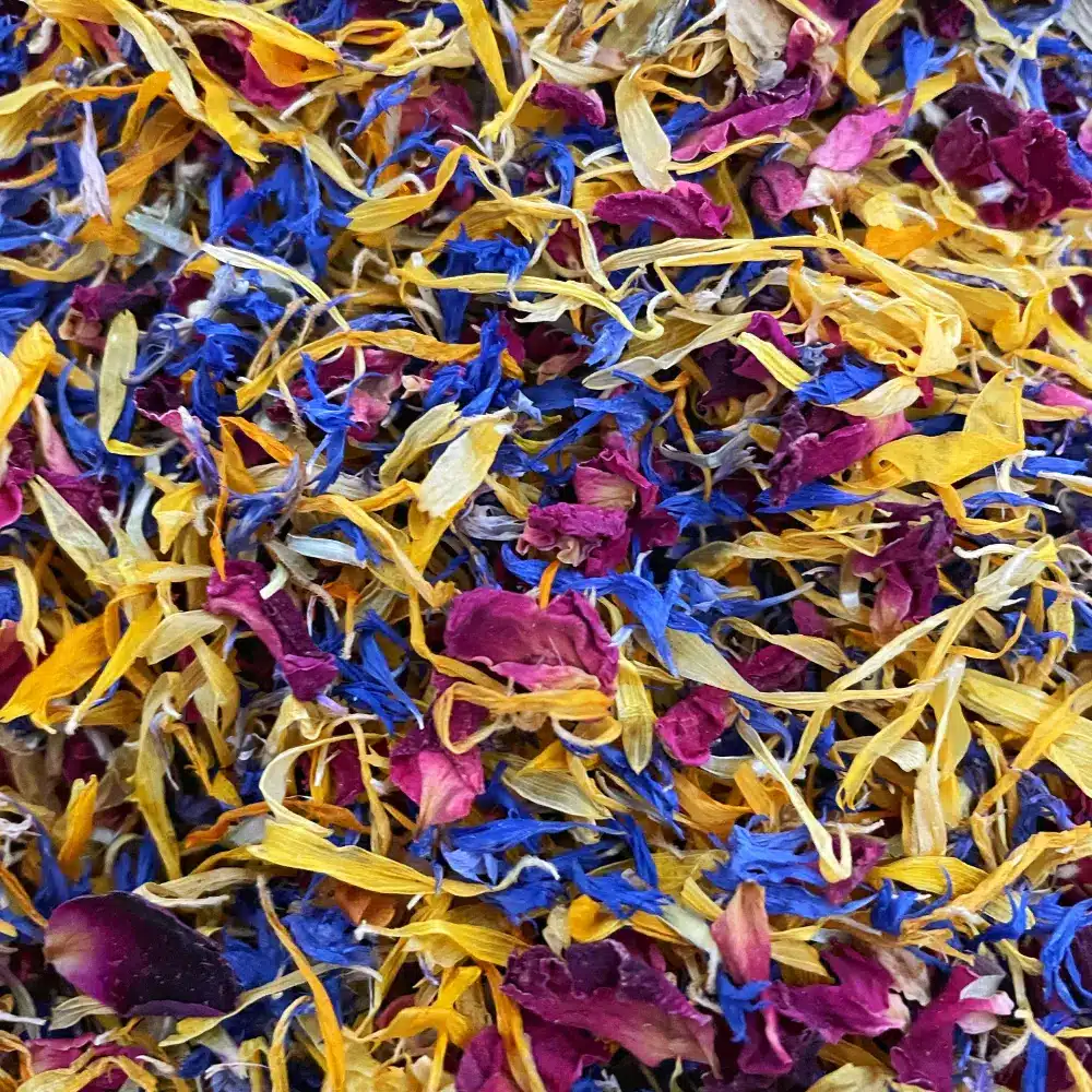 Mélange de fleurs