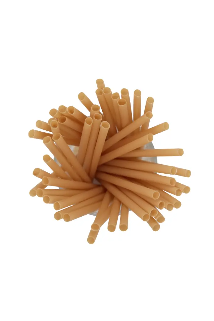 carton pailles fibre végétale 8 x 200 (40 sachets x 125)